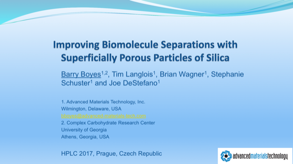 Superficially Porous Biomolecule Separations